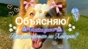 Что делать если тебя хейтят? ОБЪЯСНЯЮ!