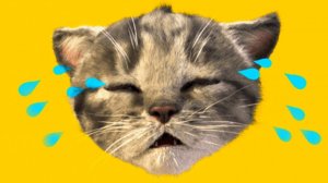 МОЙ МАЛЕНЬКИЙ КОТЕНОК ПРИКЛЮЧЕ