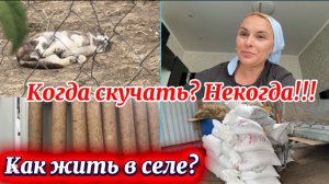 ❤️С утра получила в лоб/ Запасы на тонну/ Колбаса дело хитрое