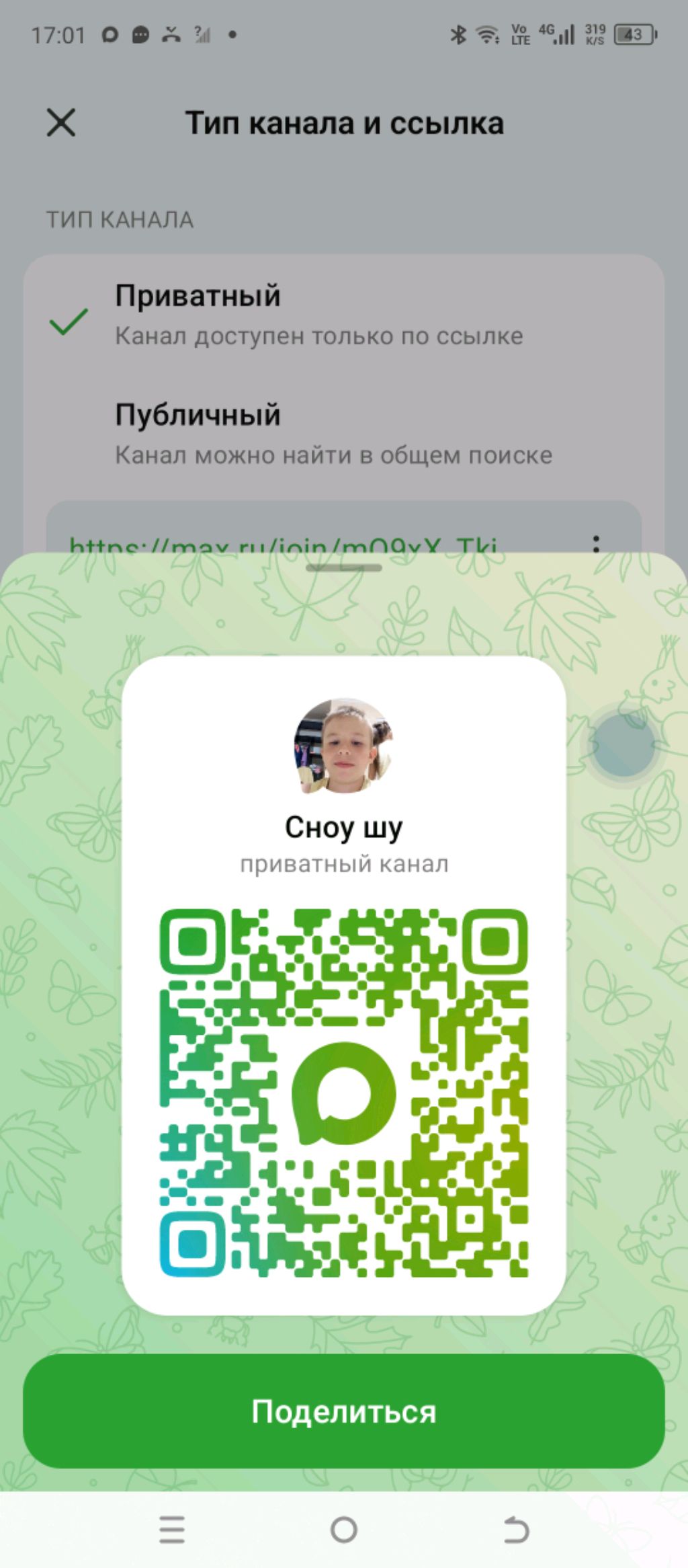 Сноу шу