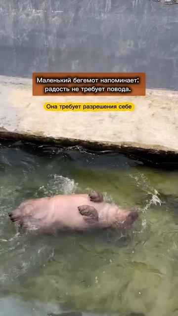 Что нужно для радости?