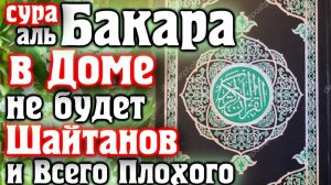 📣 ВКЛЮЧАЙТЕ СУРУ БАКАРА В ДОМЕ НЕ БУДЕТ ШАЙТАНОВ И ВСЕГО ПЛОХОГО - АЛЛАХ ДАЕТ МИЛОСТЬ И ЗАЩИТУ
