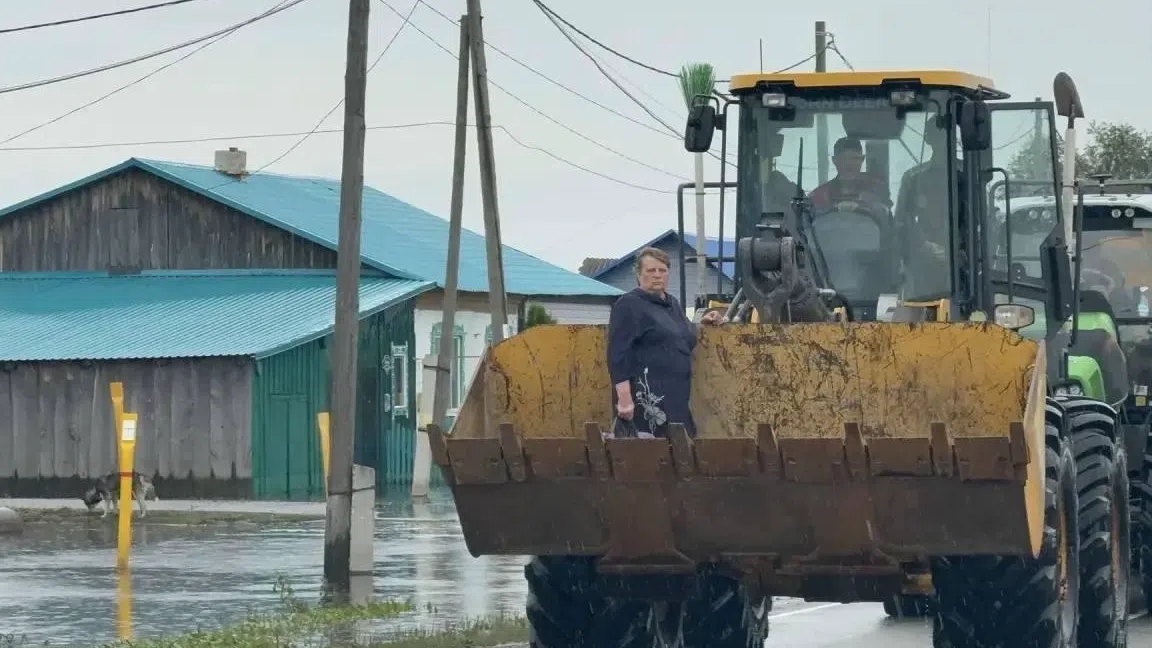 мукбанг пп питание смотреть онлайн