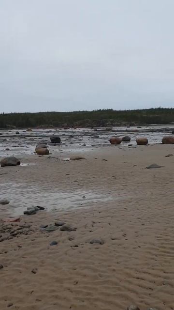Сухогубские отлив Белое море Карелия смотреть онлайн