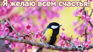Молитва за мир во всем мире! Live 18.07.2026