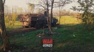 Защитный плащ и голубка в долг: верни(сь) в гнездо, живым и невредимым