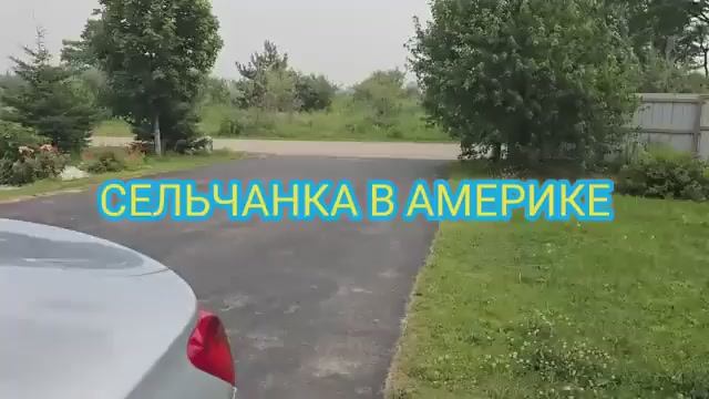 Сельчанка в Америке ДЕЛАЮ ЗАГОТОВКИ НА ЗИМУ ВАРЕНЬЕ С ЧЁРНОЙ СМОРОДИНЫ КОМПОТ ИЗ ВИШНИ смотреть онлайн