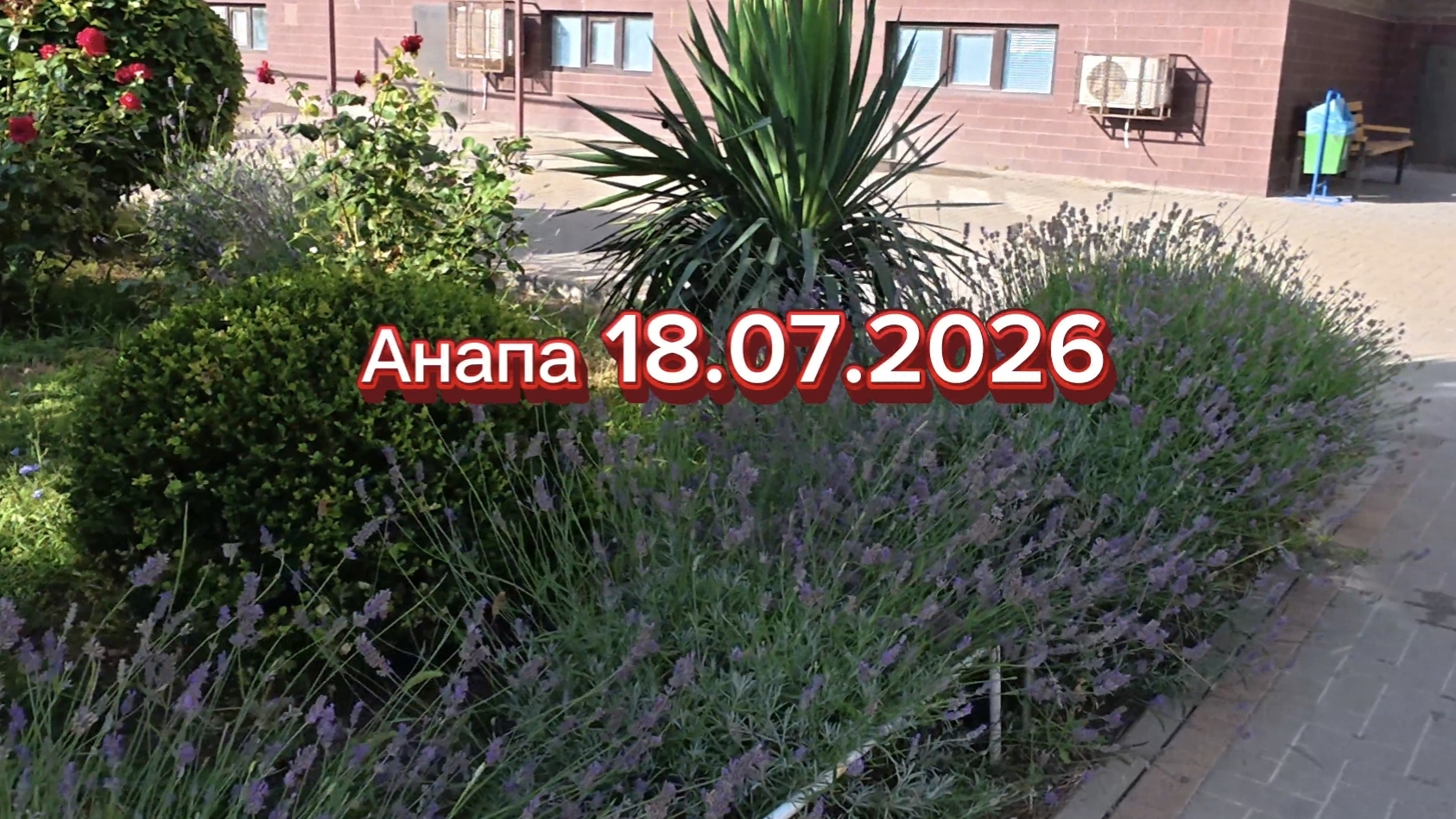 Анапа 18.07.2026 смотреть онлайн
