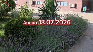 Анапа 18.07.2026