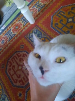 мои раскраски