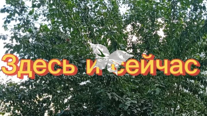 Сегодня, здесь и сейчас...,,Подпишись и приятного просмотра. 👍🌏#цветы#садуветущий смотреть онлайн