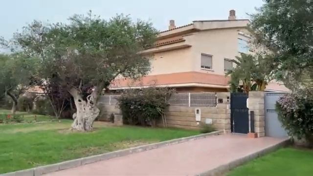 1000070713.mp4 смотреть онлайн