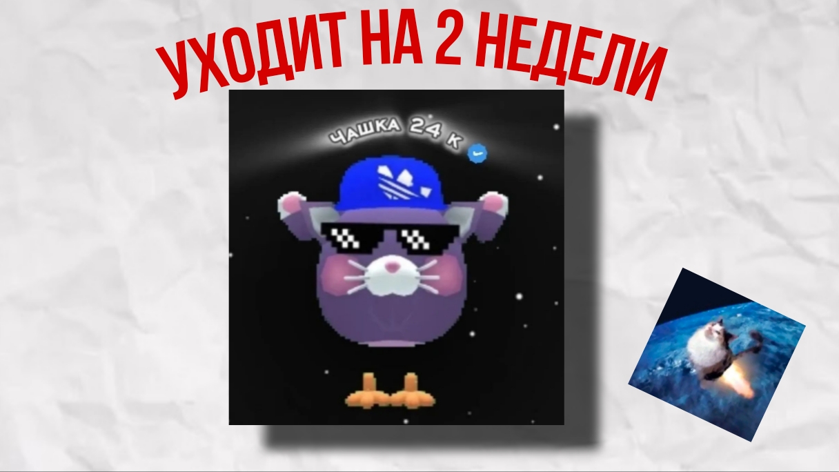 чашка 24 к уходит на 2 недели смотреть онлайн