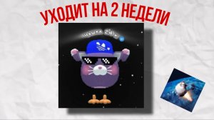 чашка 24 к уходит на 2 недели
