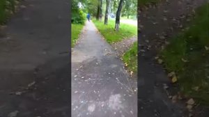 вечерний стрим всем привет