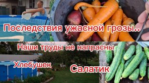 18-07-2026/Южная жизнь/Ужасная гроза//Хлеб/Салат/Последствия//Столько вредителей//Шпалера//