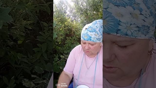Доброго дня 😉 смотреть онлайн