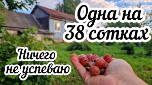 Как я всё успеваю одна? Один день из моей жизни в деревне🏠