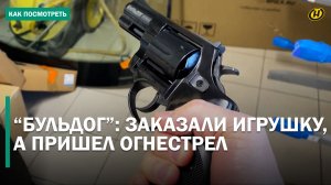 ПОИГРАЛ С «БУЛЬДОГОМ» – ПОЛУЧИЛ СРОК. Покупки с последствиями – незнание не освобождает от уголовки