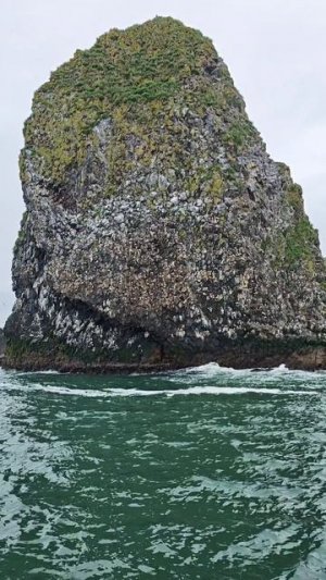 Камчатка. Паратунка