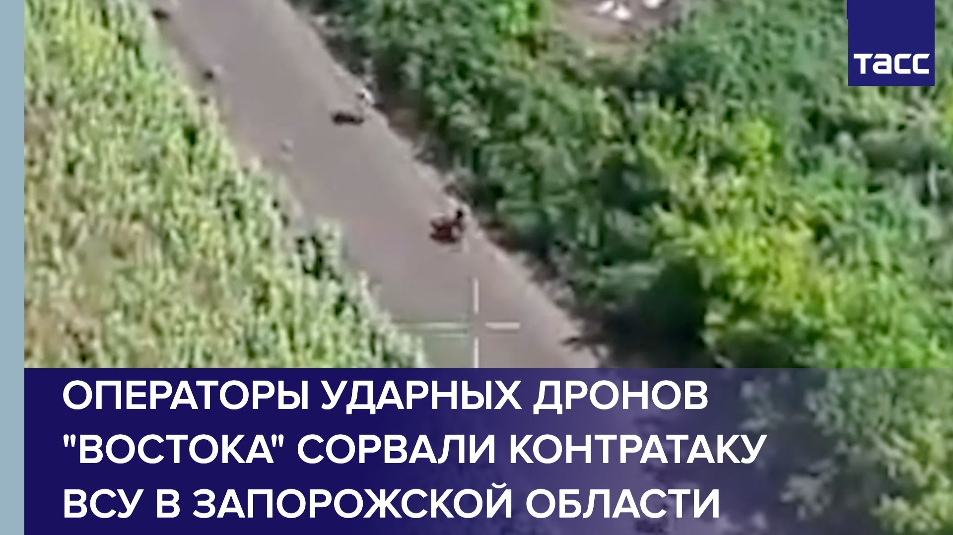 Операторы ударных дронов "Востока" сорвали контратаку ВСУ в Запорожской области смотреть онлайн