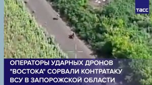 Операторы ударных дронов «Востока» сорвали контратаку ВСУ в Запорожской области