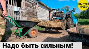 Остался один. Приходится работать одному, когда жена ушла на работу. Омские сельские будни