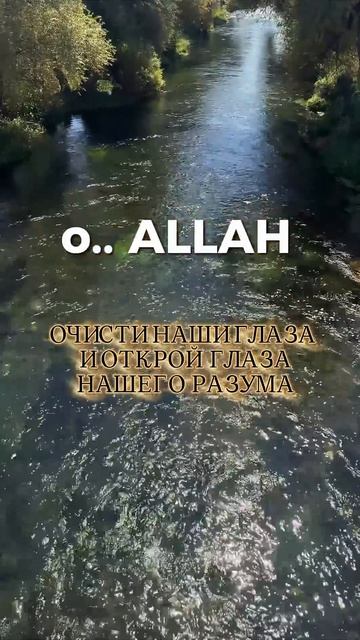 О АЛЛАХ...............