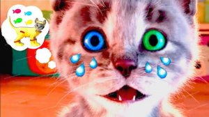 НОВЫЕ ВЕСЕЛЫЕ КОШКИ 🙀 МАЛЕНЬКИ