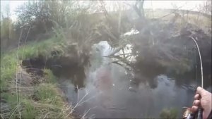 МОРМЫШИНГ НА КАРАСЯ В МИКРОРЕЧКЕ