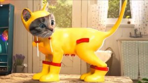 НОВЫЕ ВЕСЕЛЫЕ КОШКИ😻МАЛЕНЬКИЕ