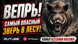 Кабан самый опасный зверь в лесу! Вся правда о диком вепре!