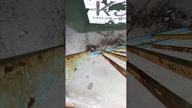 2 часть. Основная. Идём убирать мусорки. И погуляем по нашему селу Миндальное в Крыму. смотреть онлайн
