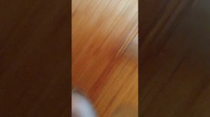 хахахахах