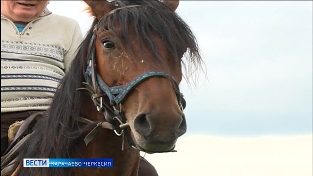 Вести Карачаево-Черкесия 17.07.2026