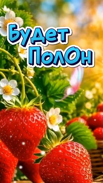 💕Доброе утро, пусть удивительный будет твой день!
