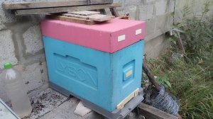 Пчеловодство