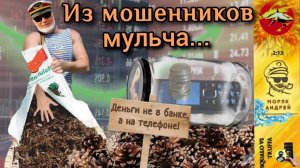 МОРЯК АНДРЕЙ ПЕРЕМОЛОЛ схемы мошенников на мульчу/ ШИШ ВАМ , НЕ ДЕНЬГИ !