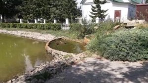 Михаило-Архангельский монастырь в селе Козиха.
