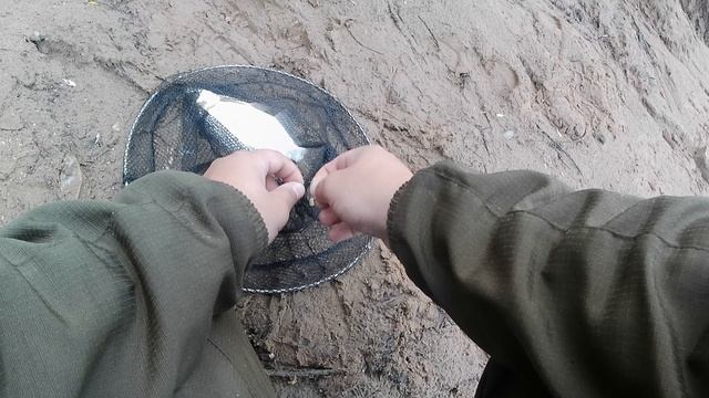 После дождика в четверг..