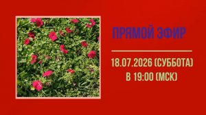 Анонс эфира 18.07.2026