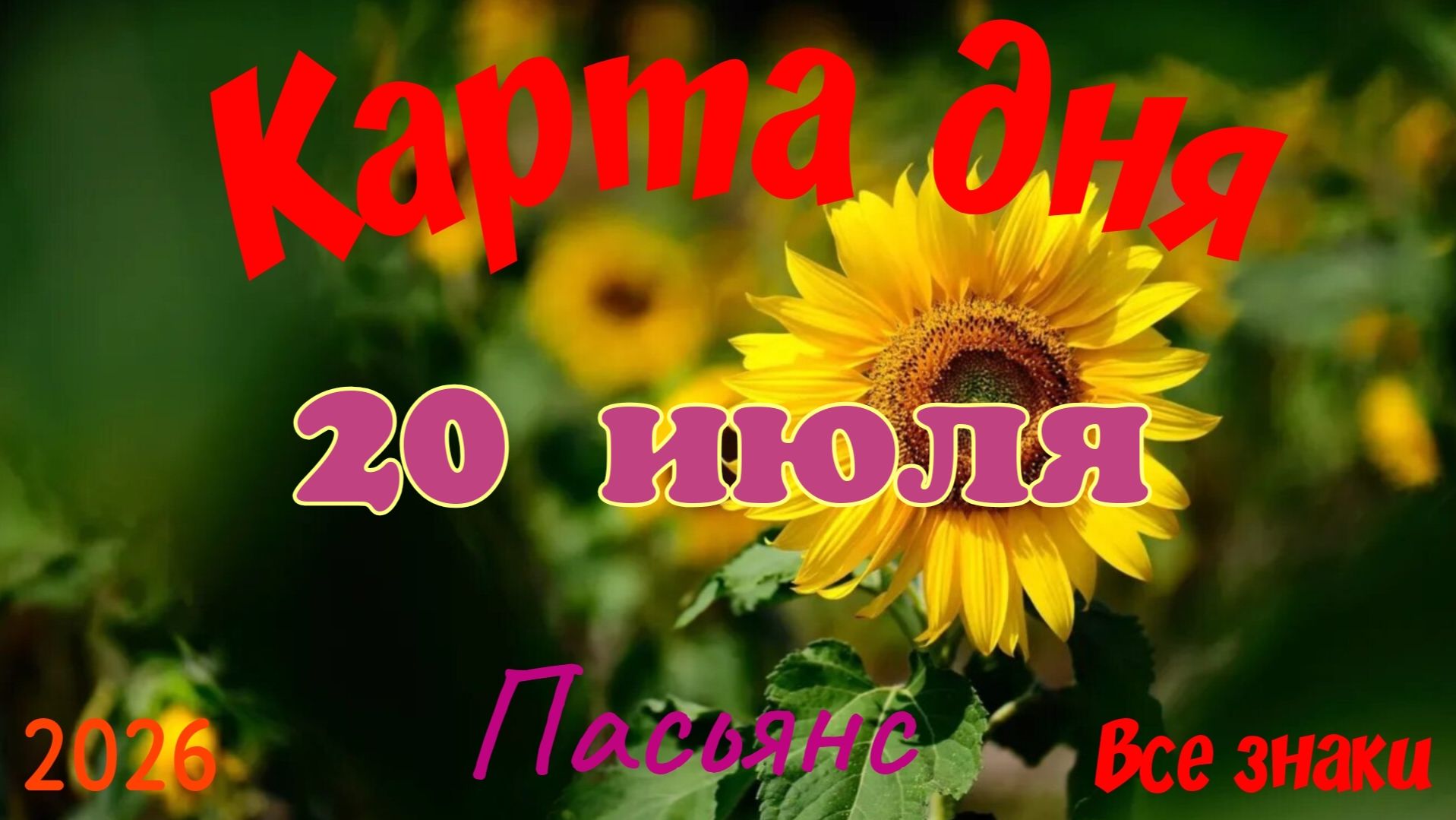 Карта дня🍒20 июля🍀💫Пасьянс. Тайм-код в описании 🦢 смотреть онлайн