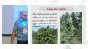 Александр Верещак - Селекция хвойных в современной России, часть 1