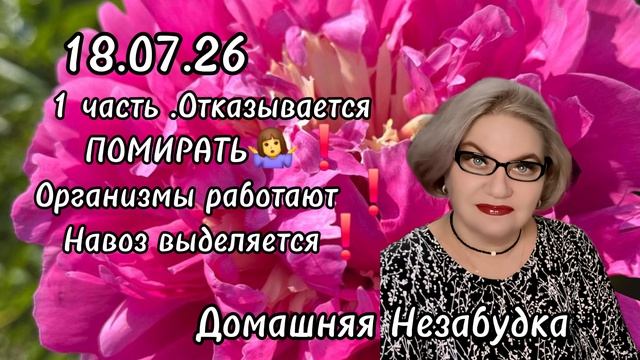 1 часть. Отказывается ПОМИРАТЬ🤷♀️❗️Организмы работают❗️Навоз выделяется❗️ смотреть онлайн