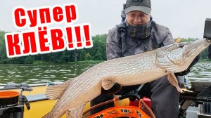 ТАК НАЧИНАЕТСЯ КЛЁВ ТРОФЕЙНОЙ ЩУКИ!!! РЫБАЛКА В КАНУН КЛЁВА ТРОФЕЙНОЙ (РЕКОРДНОЙ) ЩУКИ!!!