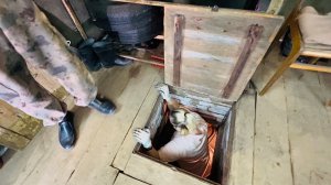 18 июля. Уборка в гараже. Готовим яму для нового урожая. Остатки овощей прошлого года.