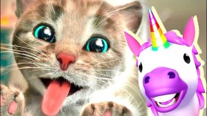 ПРИКЛЮЧЕНИЯ МОЕГО КОТЕНКА #ЛУЧ