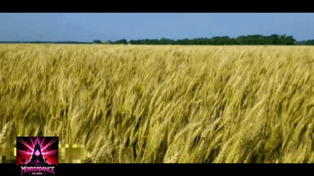 Lex Harmonius & SuN I KO-Тихий ветер гладит поле смотреть онлайн
