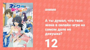 А ты думал, что твоя жена в онлайн-игре на самом деле не девушка? 1 сезон 12 серия (аниме, 2016)