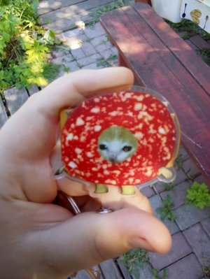 АнЯ Хас Олеся рисуем